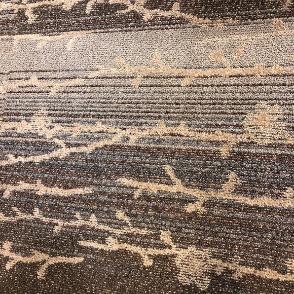 Meet your Posher, Steve - Picture 1 of 1